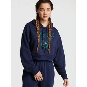 Victoria's Secret Pink Everyday Fleece Hoodie